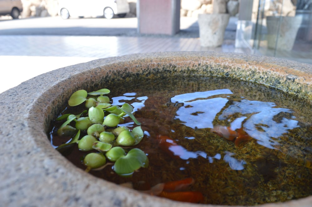 New Kankai Tenku Hotel Kairo 19/54