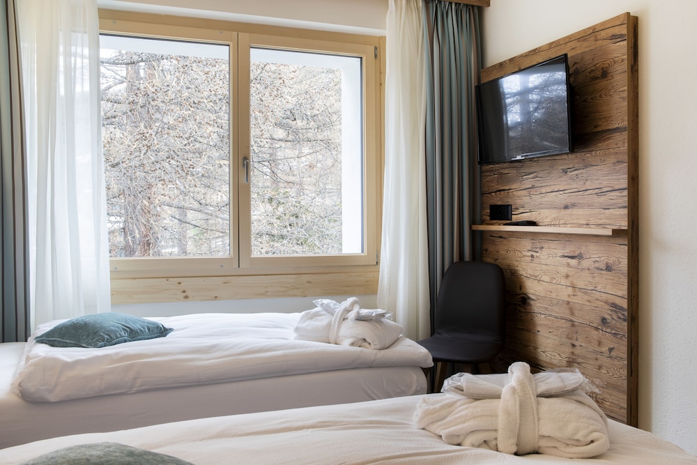 Hemizeus 37/82