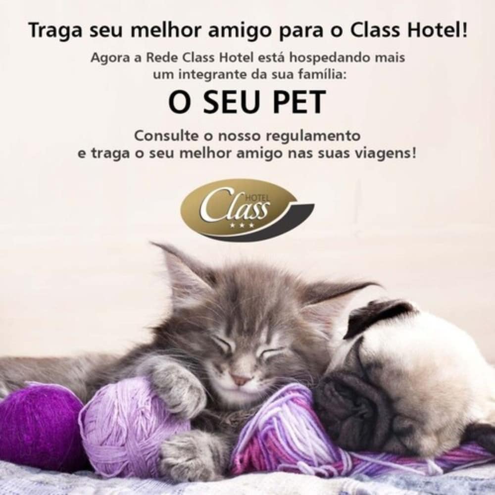 Class Hotel Rio Claro 23/43