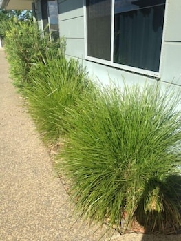 DIRECT HOTELS - VILLAS ON RIVERGUM 16/36