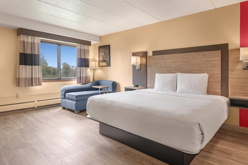 Deluxe, Single, King Bed, Sofa