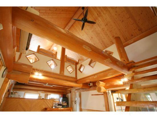 Log, House