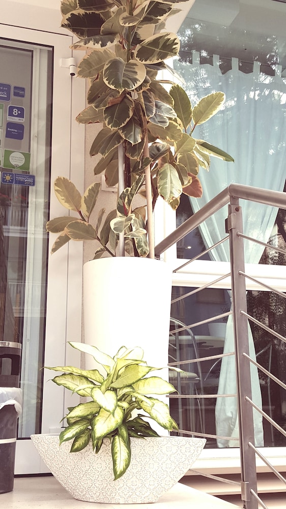 Calypso 36/50