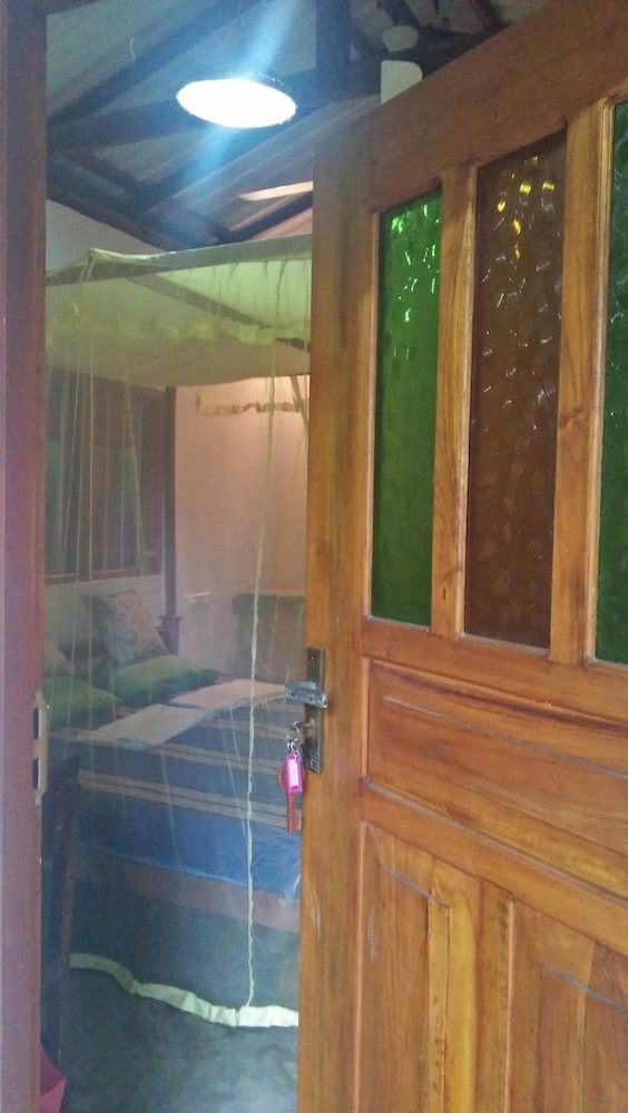 The Jungle House 16/50
