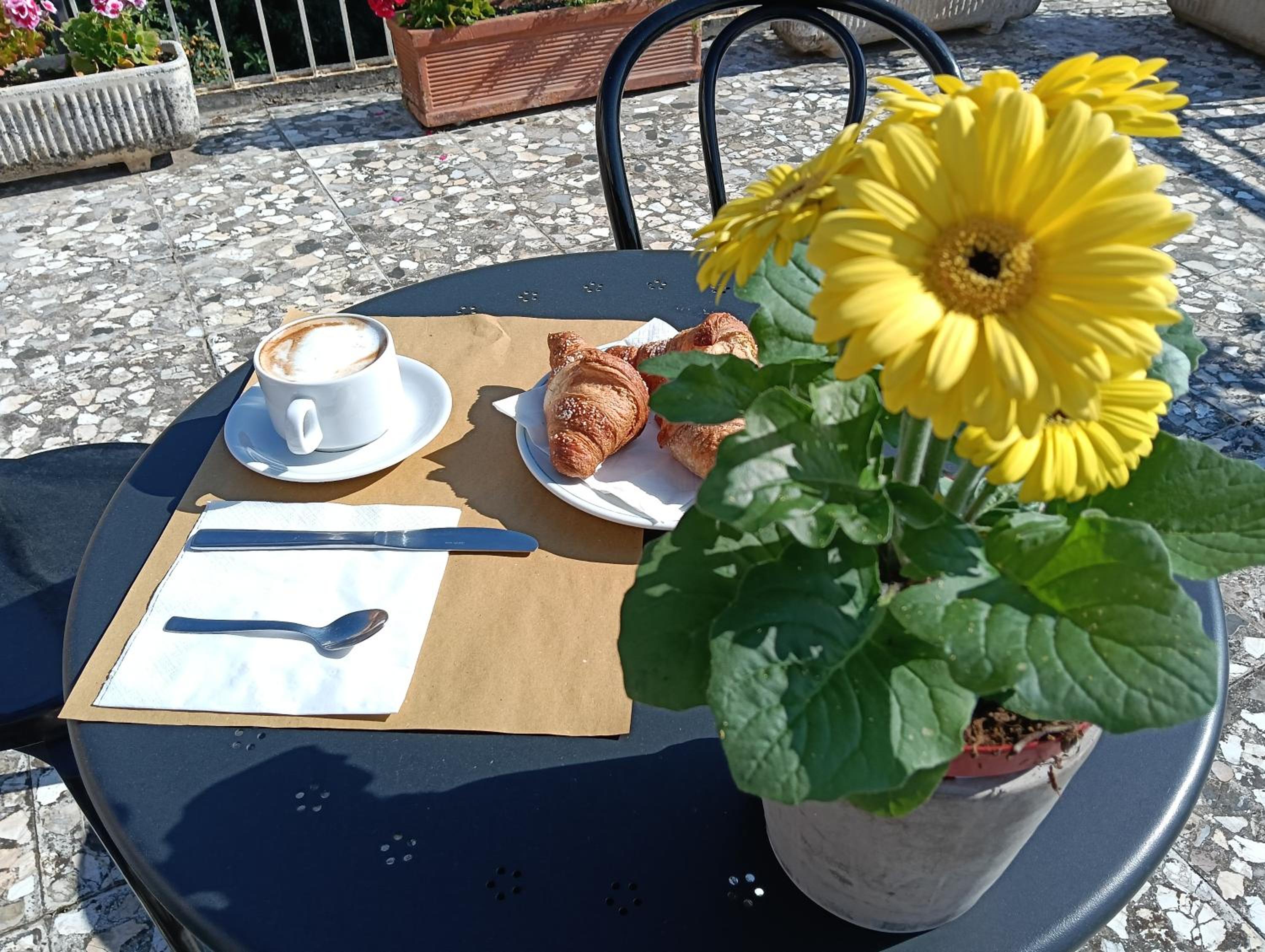 Hotel Robinia 10/51