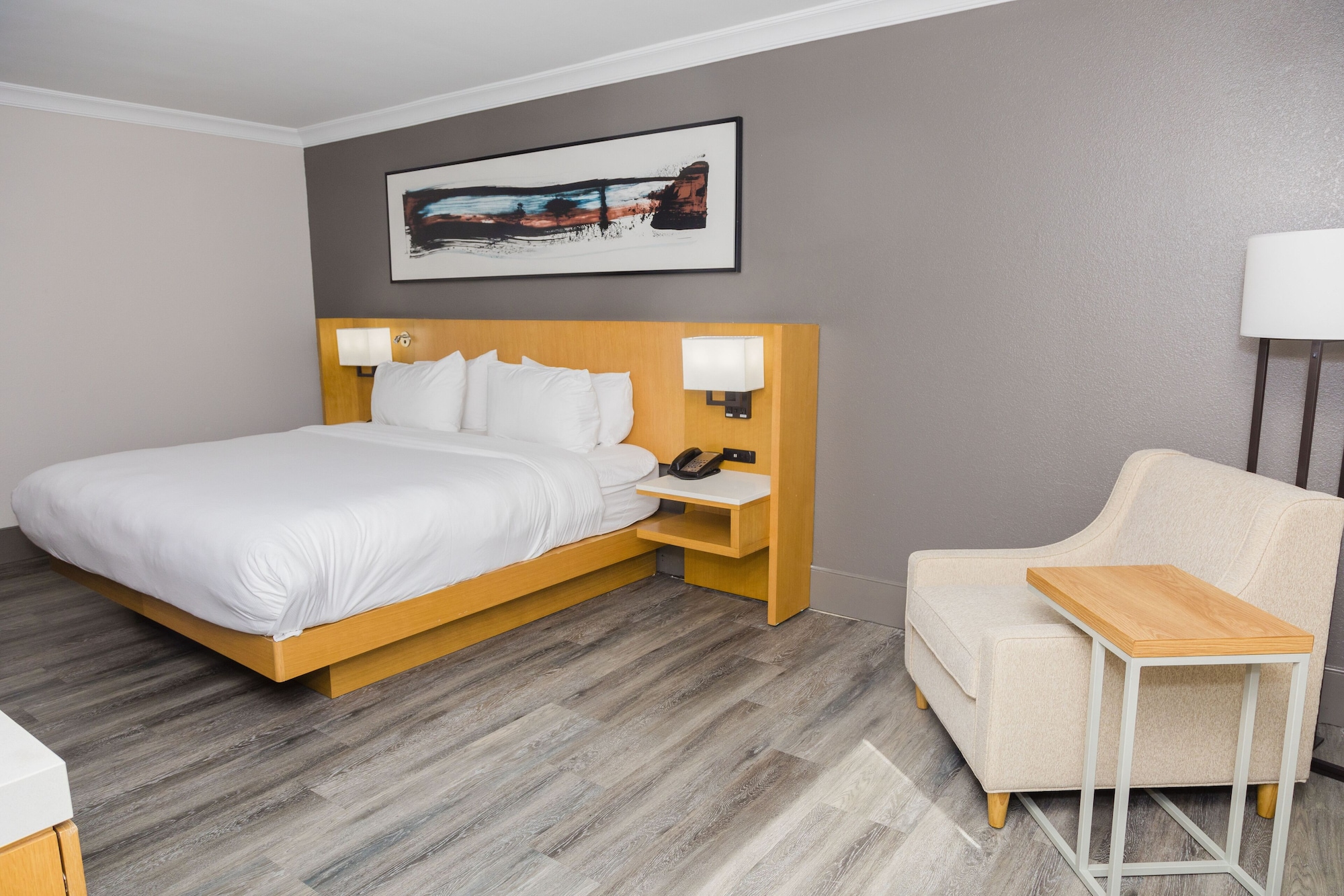 SUITE, KING BED, SOFA