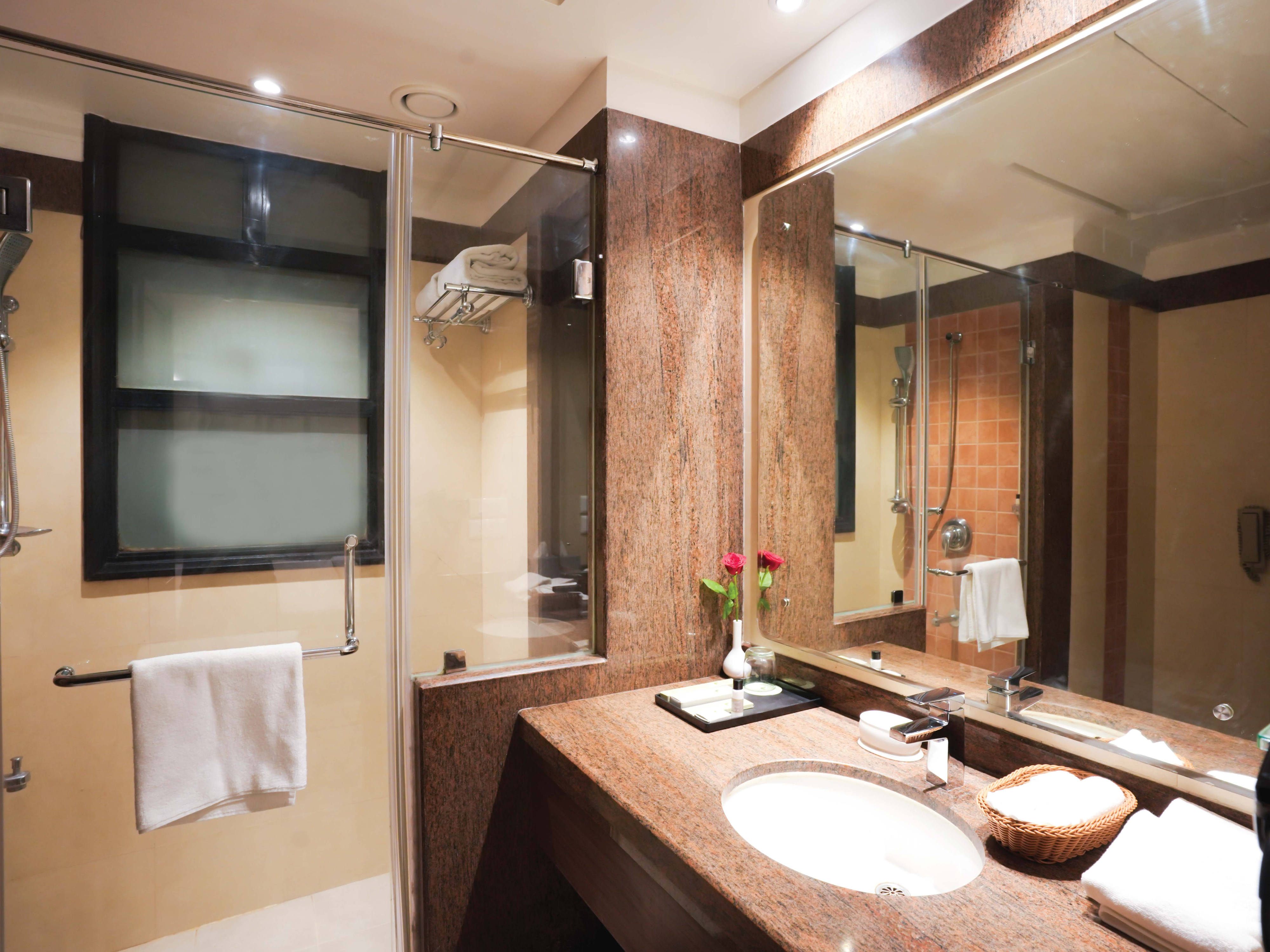 Leisure Inn Grand Chanakya 37/37