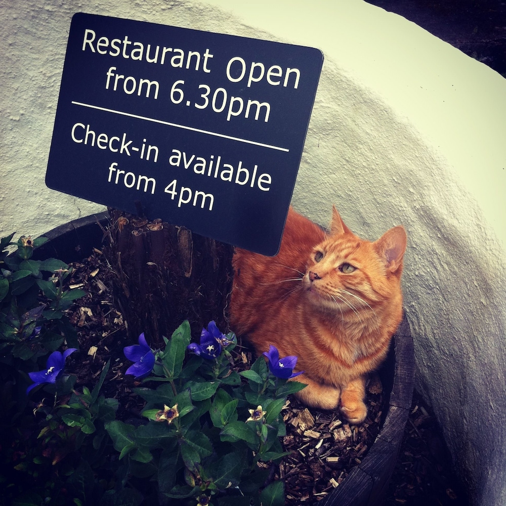 The Waterwheel Inn 21/50