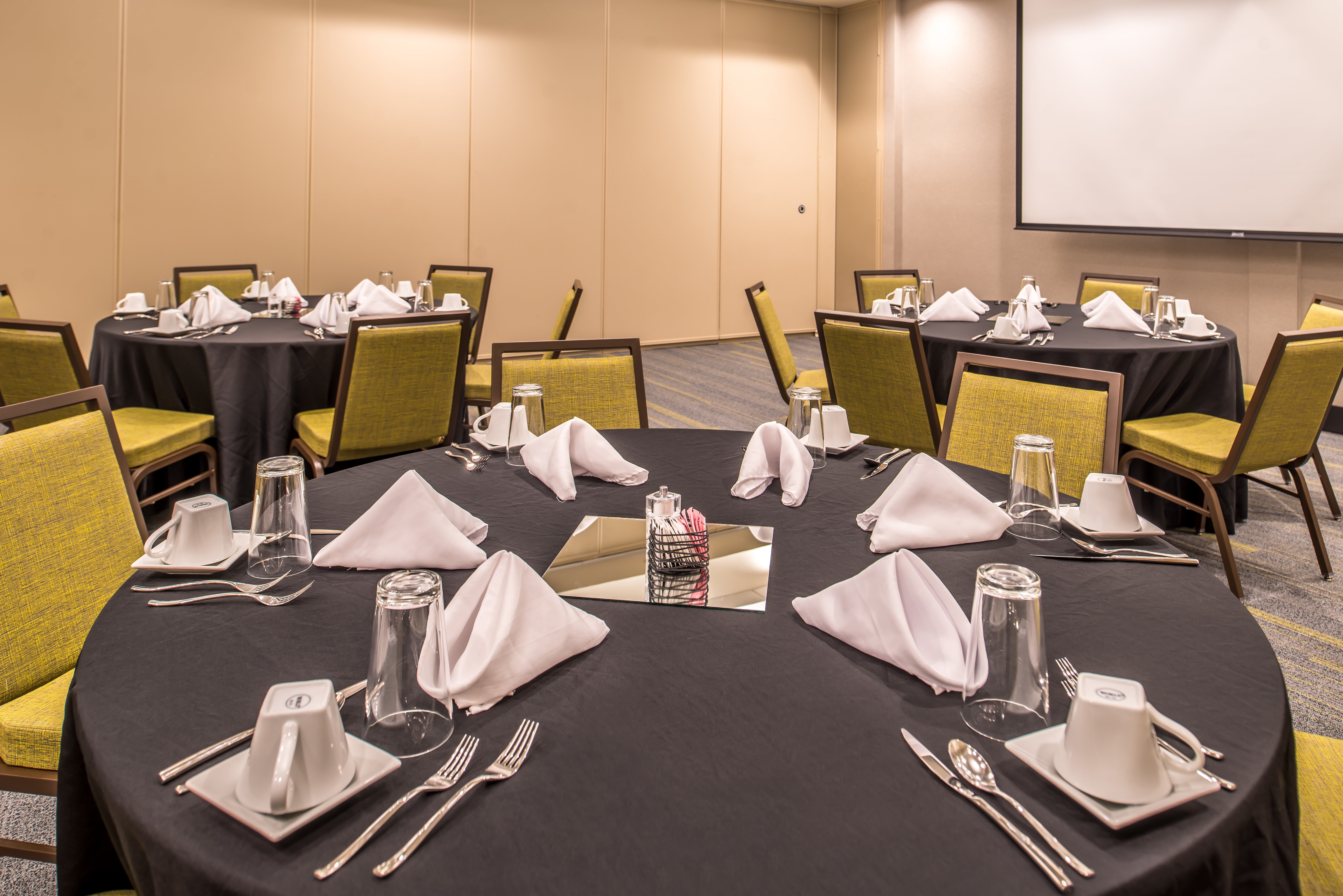 HOLIDAY INN JOPLIN 68/71