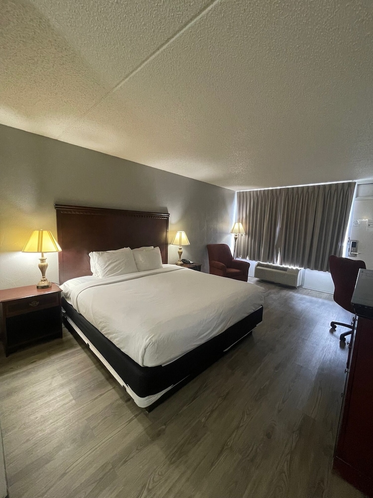 Willow Tree Inn 13/38
