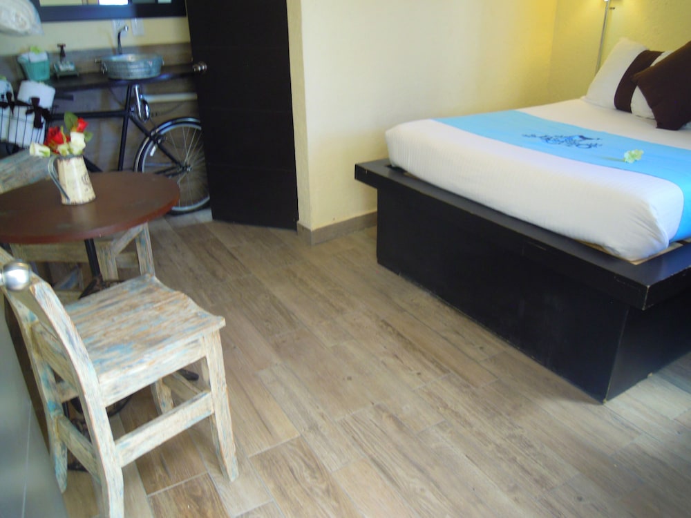 Hotel & Spa Mansion Del Burro Azul 33/50