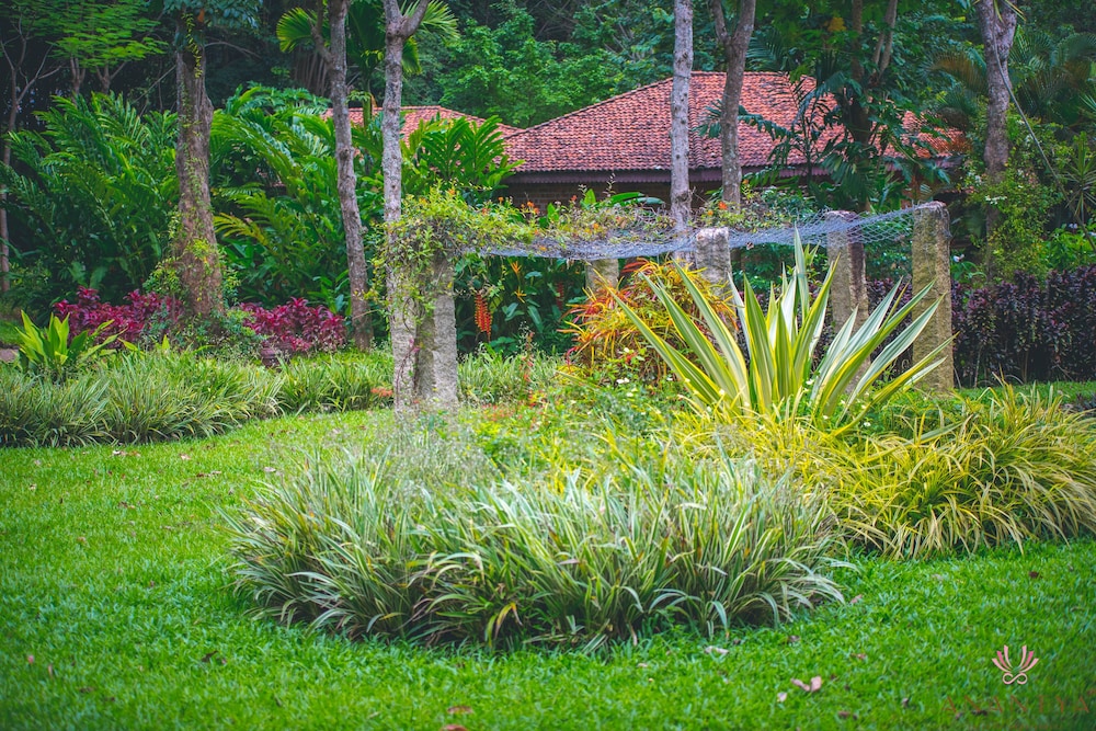 Anantya Resorts 38/50