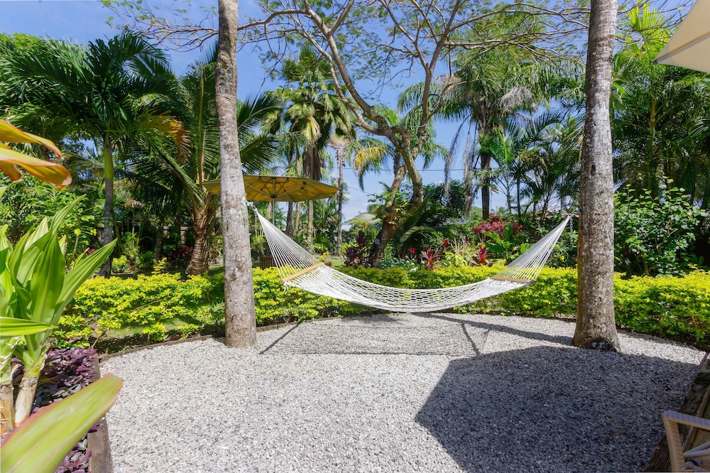 Rarotonga Daydreamer Resort 42/50