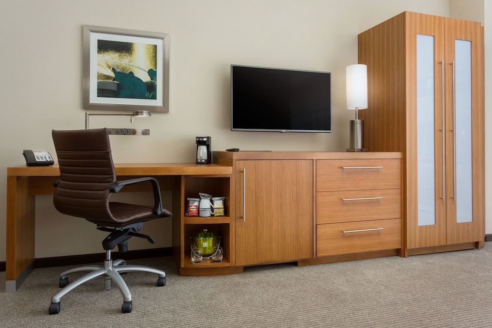 Hyatt Place Chicago Downtown - The Loop 60/63