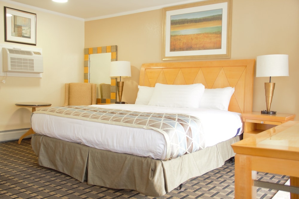 Rodeway Inn Adams, MA 22/34
