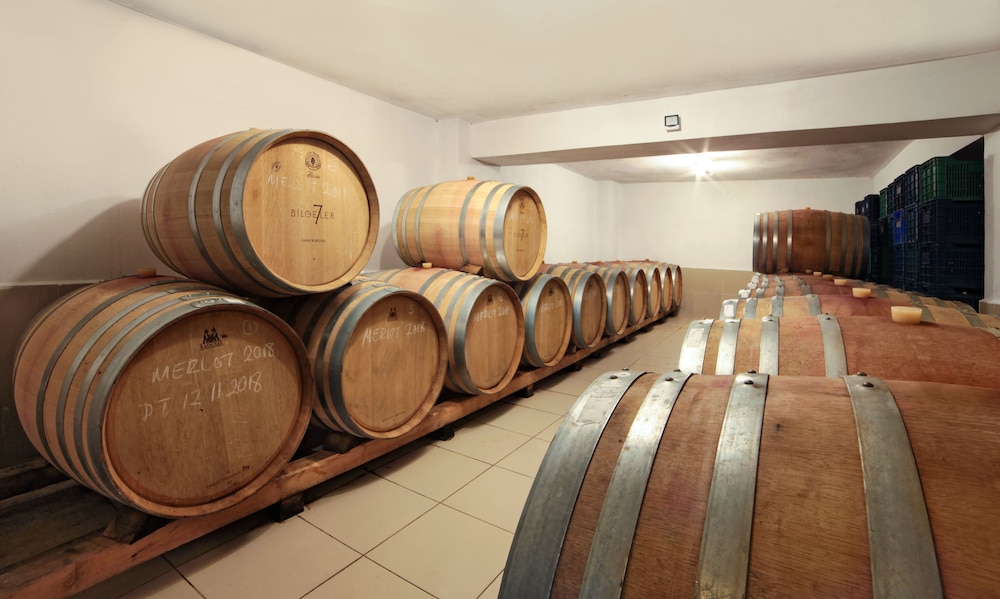 Vinifera Vineyards Hotel 19/50