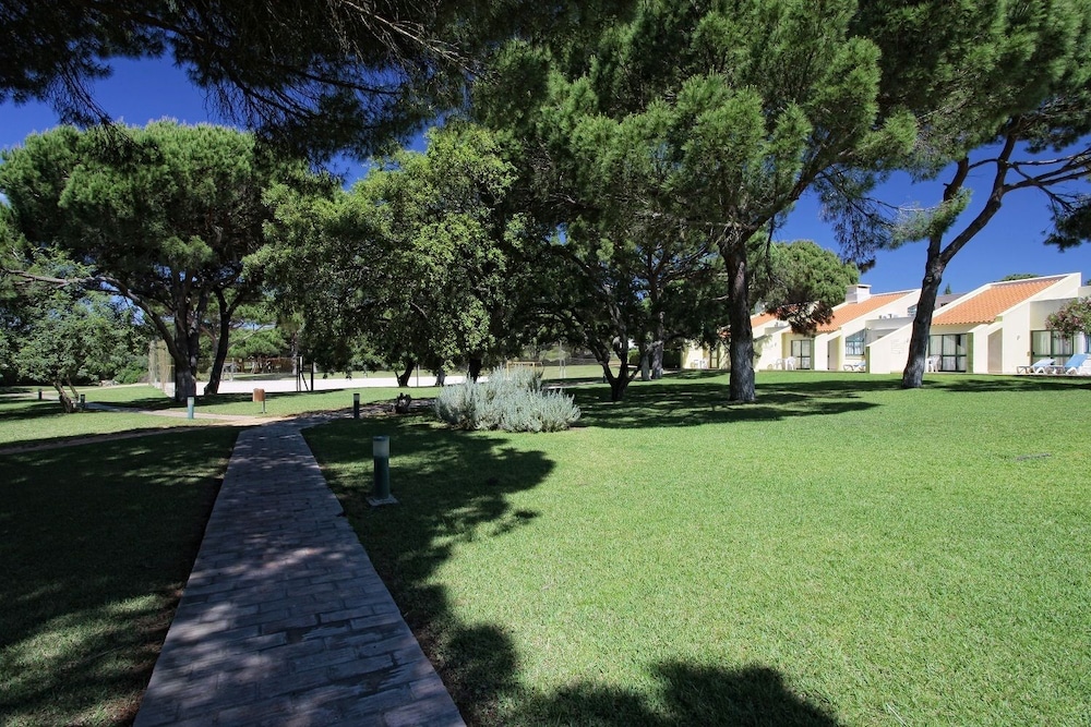 surroundings