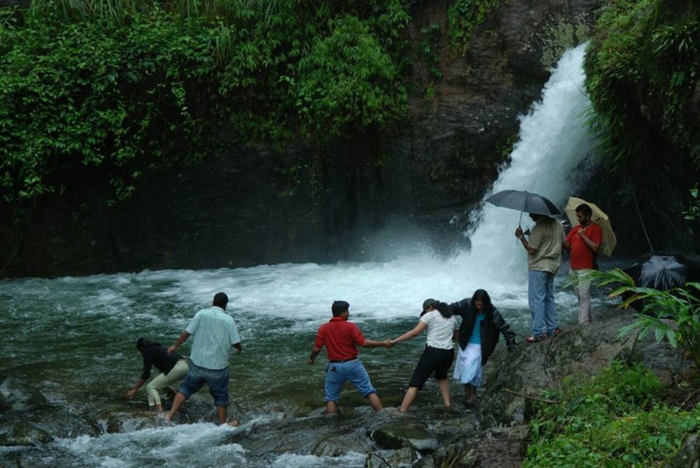 BLUE GINGER WAYANAD RESORTS 29/50
