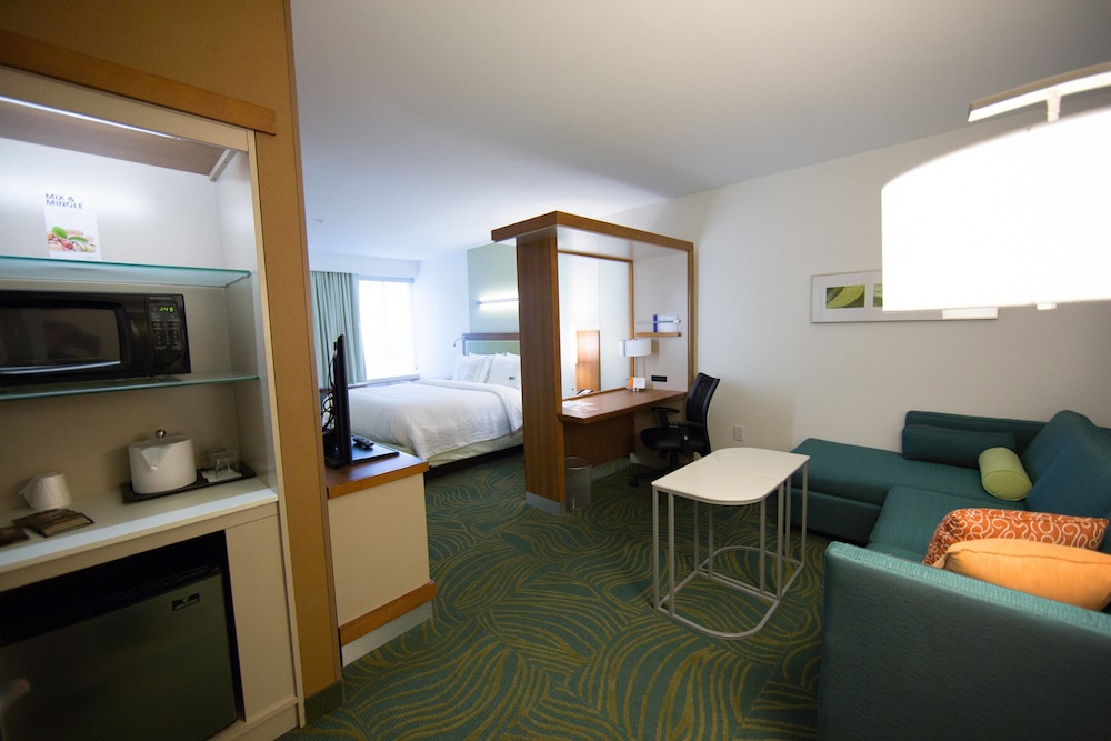 SpringHill Suites Lumberton 42/59