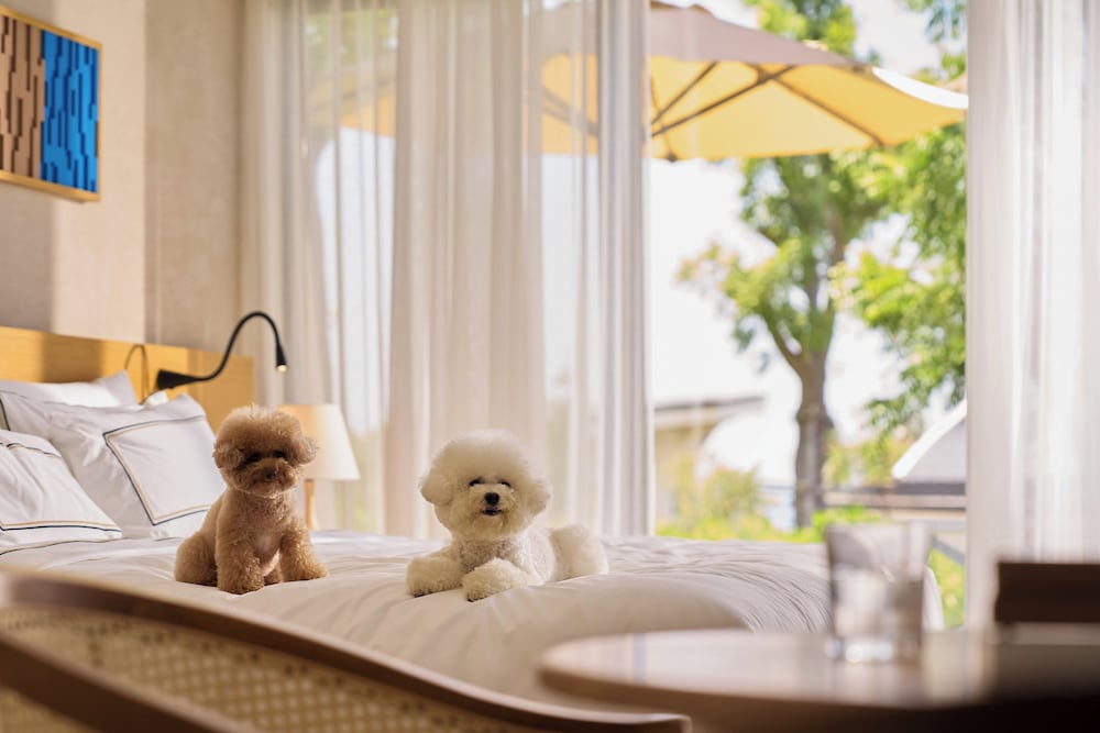 Melia Serenity Cam Ranh Beach Resort 20/47