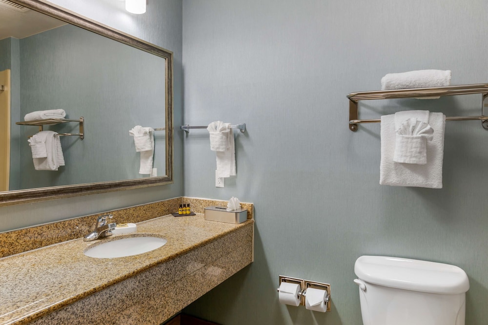 Standard, King Bed, Best Western Plus Wasco Inn & Suites 10/10