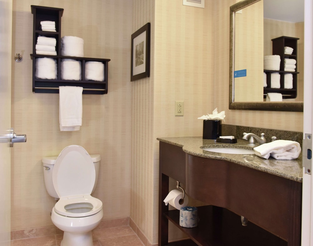 Hampton Inn & Suites Alexandria LA 17/47
