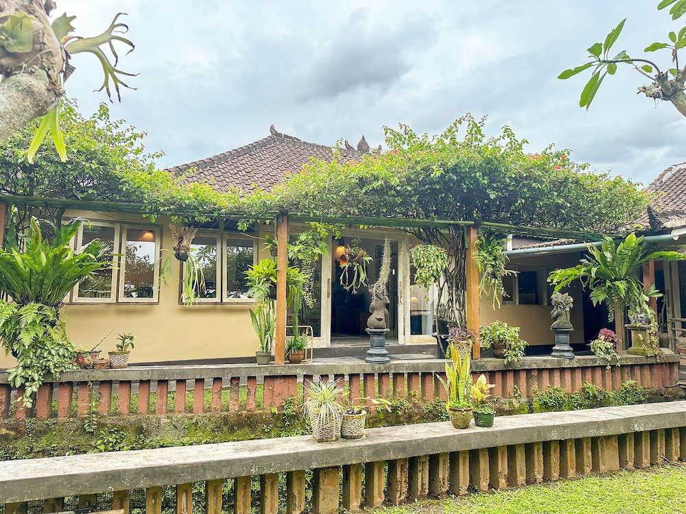 Devi's Place 6/50