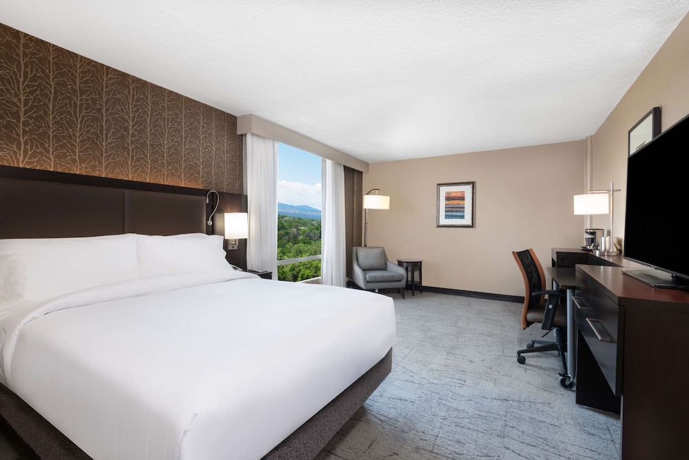 ROOM, QUEEN BED, MOUNTAIN VIEW