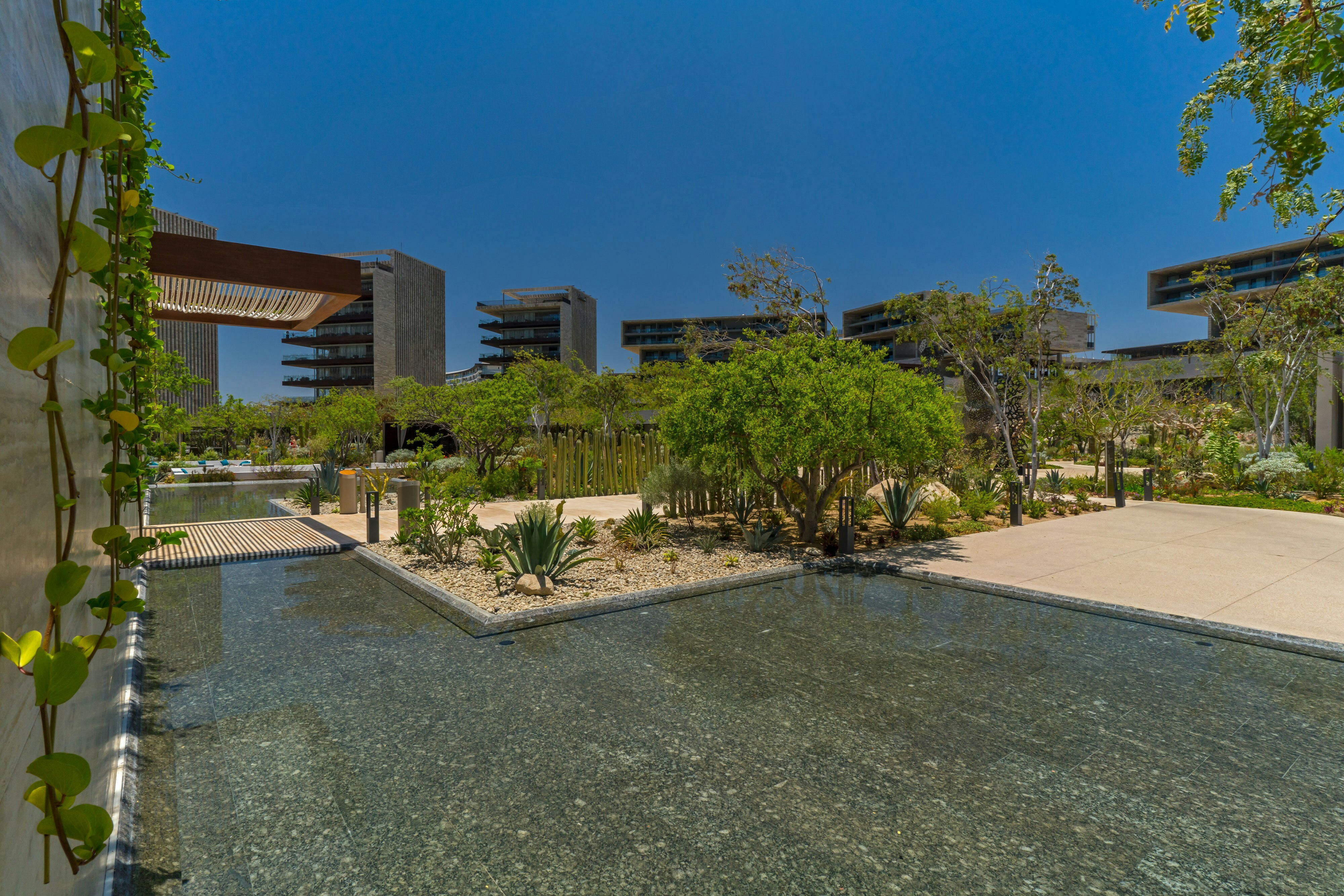 The Residences at Solaz, a Luxury Collection Resort, Los Cabos 28/28