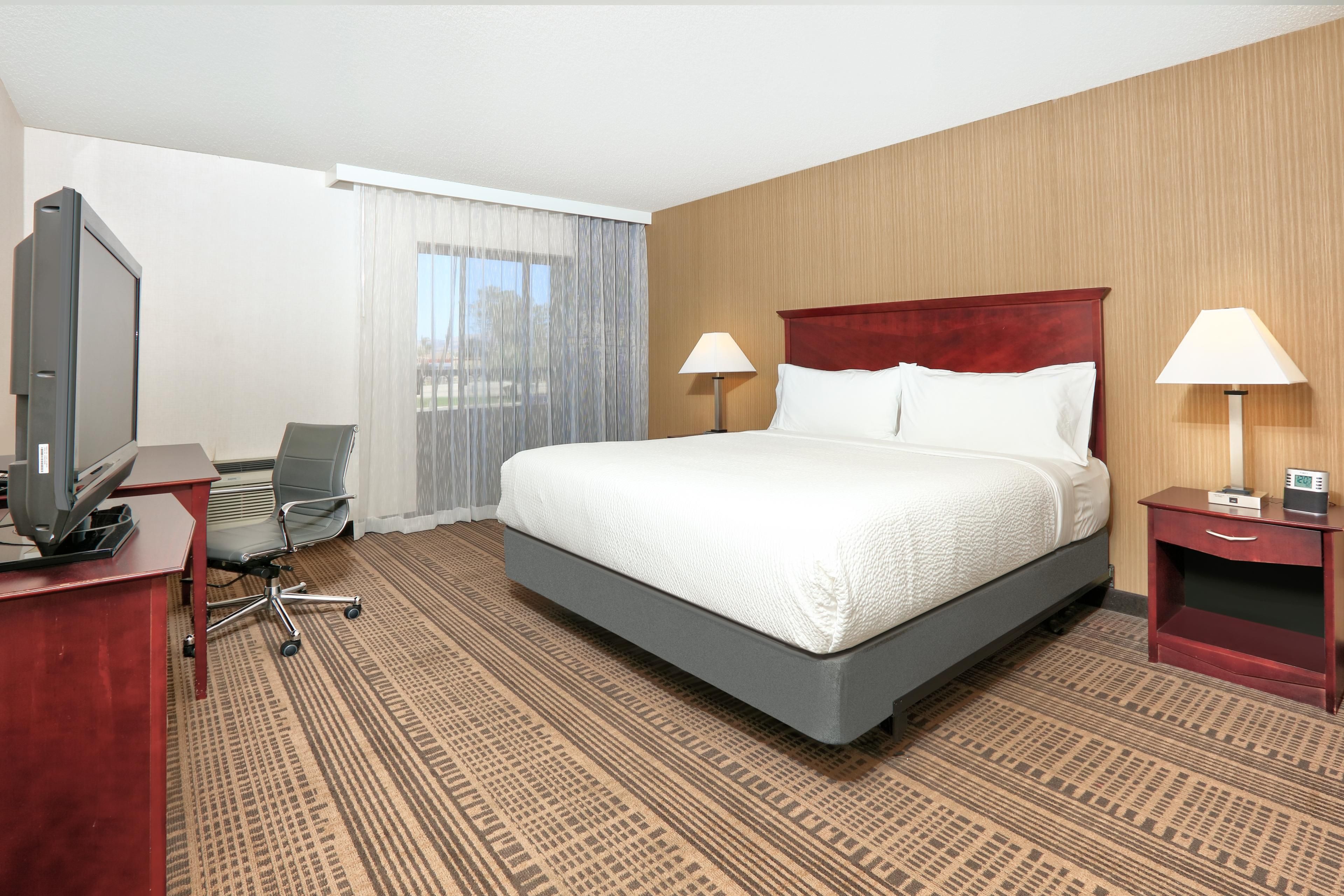 Efficiency, Suite, King Bed