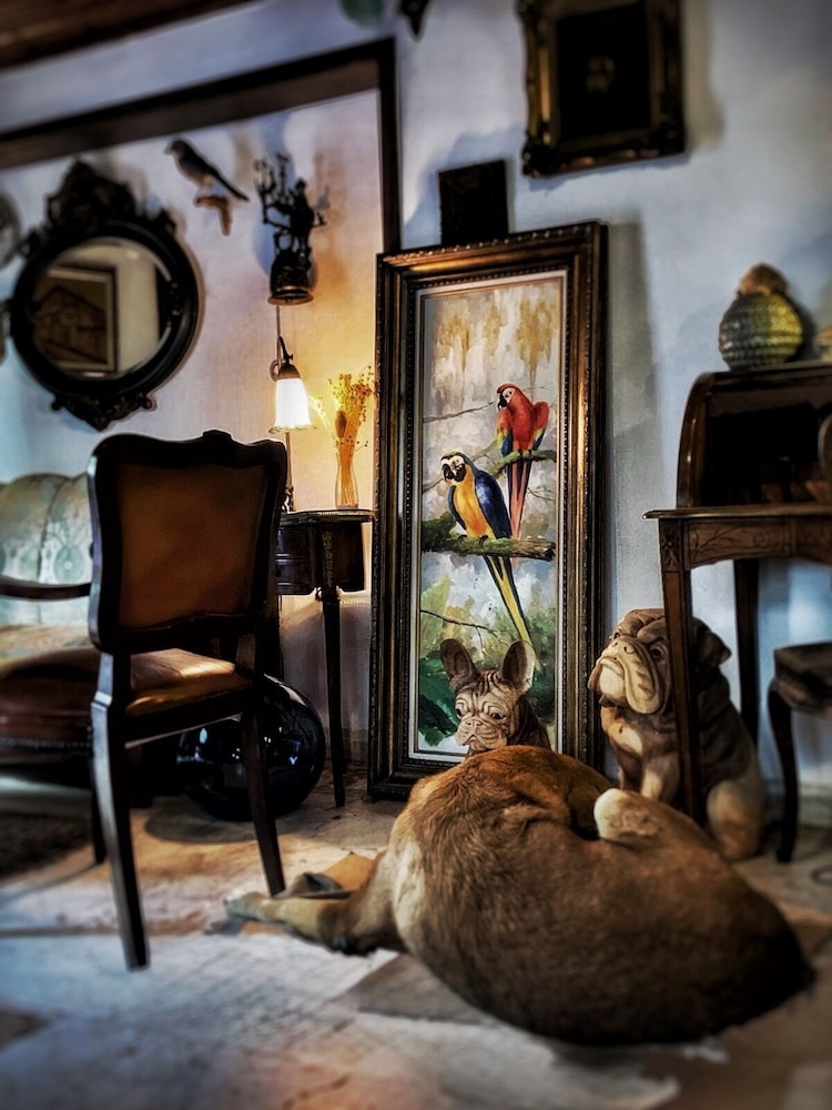Tuvana Hotel 64/71