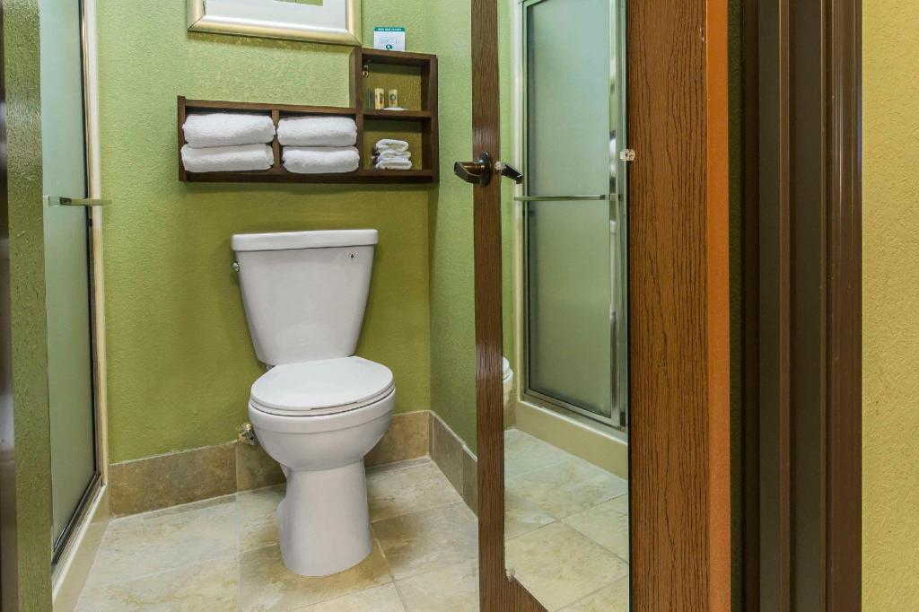 Efficiency, Suite, King Bed
