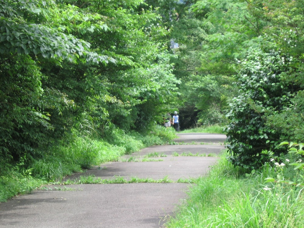Kagetsuen 41/50