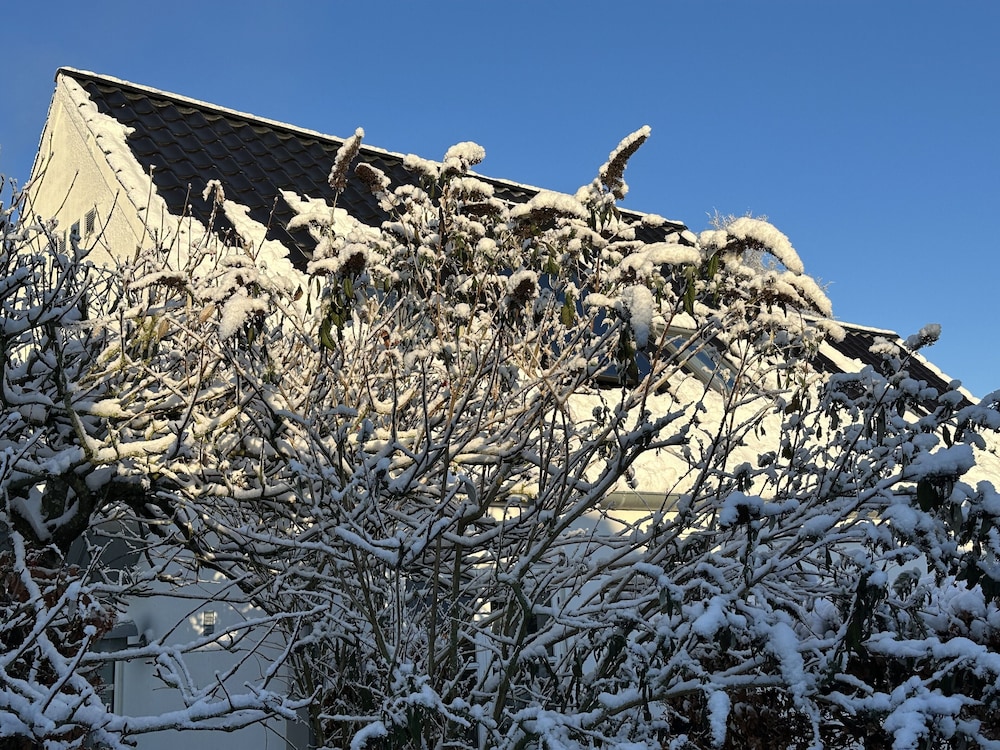Helts B&amp;B 41/50
