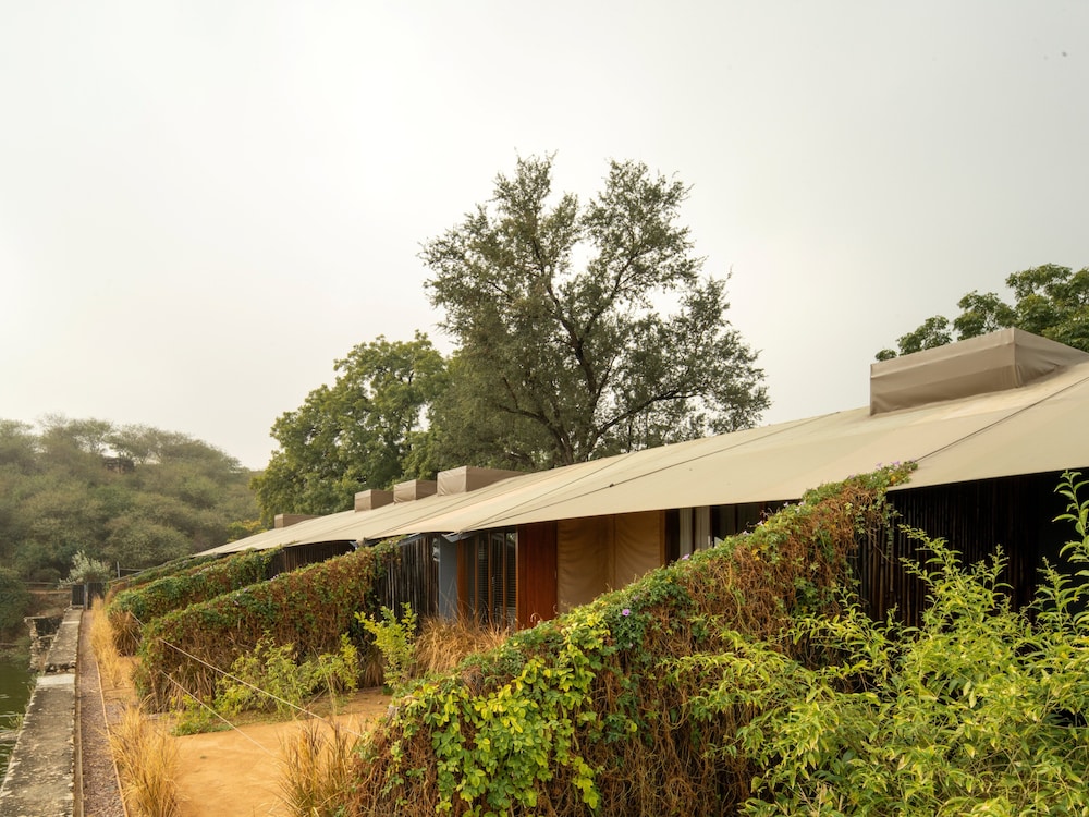 RAAS Chhatrasagar 5/50