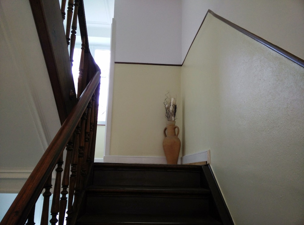 Basel Charme Apartments photo5