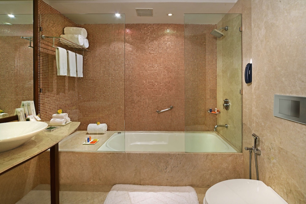 Radisson Jass Khajuraho 37/37