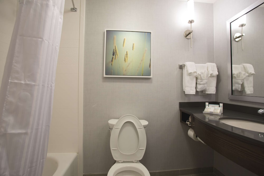 Hilton Garden Inn Bolingbrook I-55 23/79