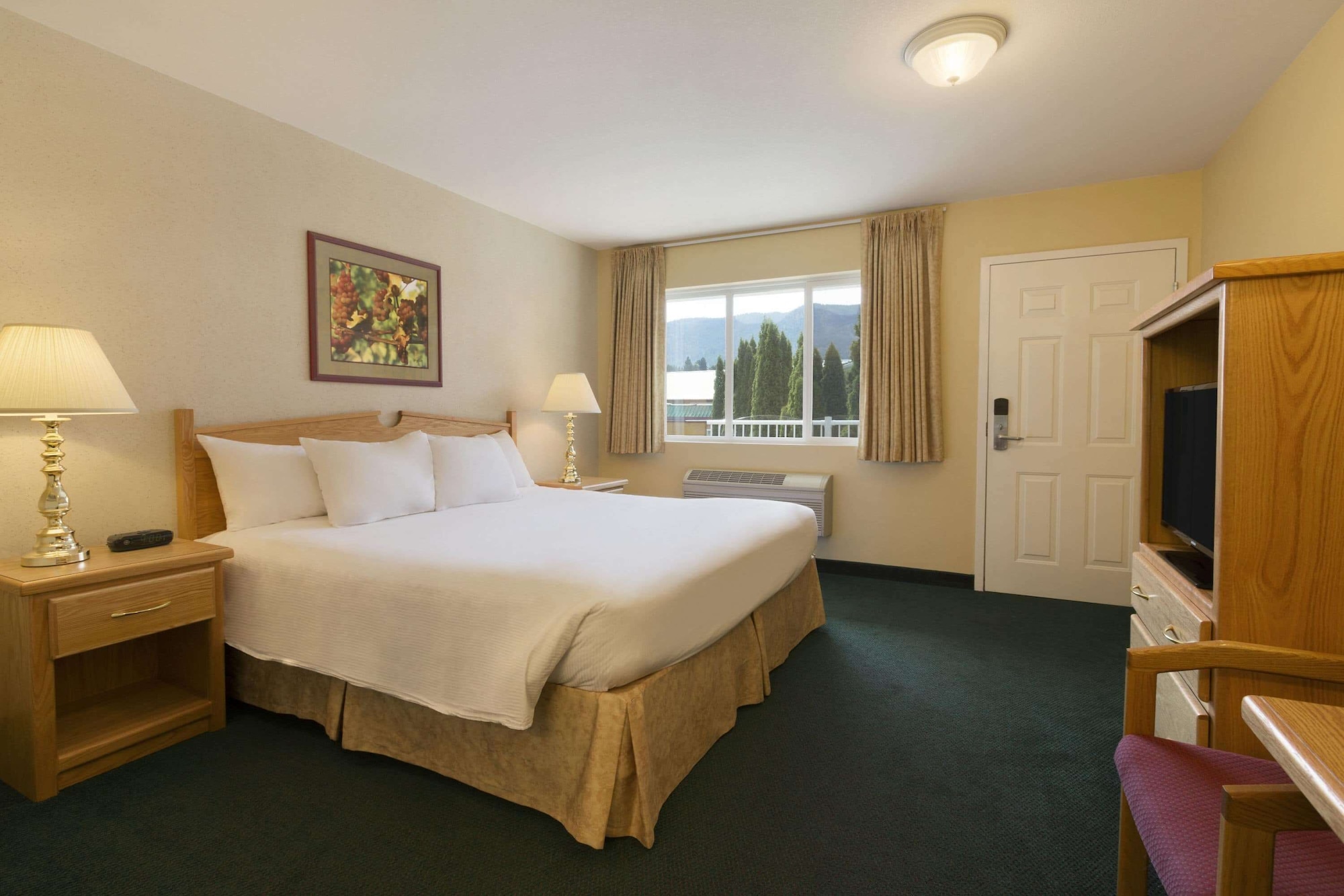 Efficiency, Murphy Bed, Queen Bed
