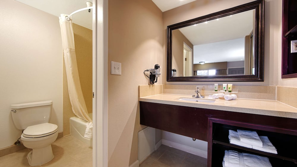 Best Western Pasadena Royale Inn & Suites 18/39