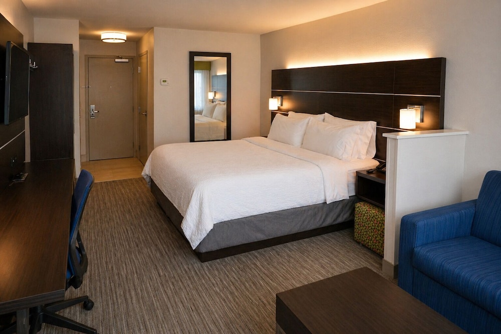 Suite, King Bed, Pet Friendly