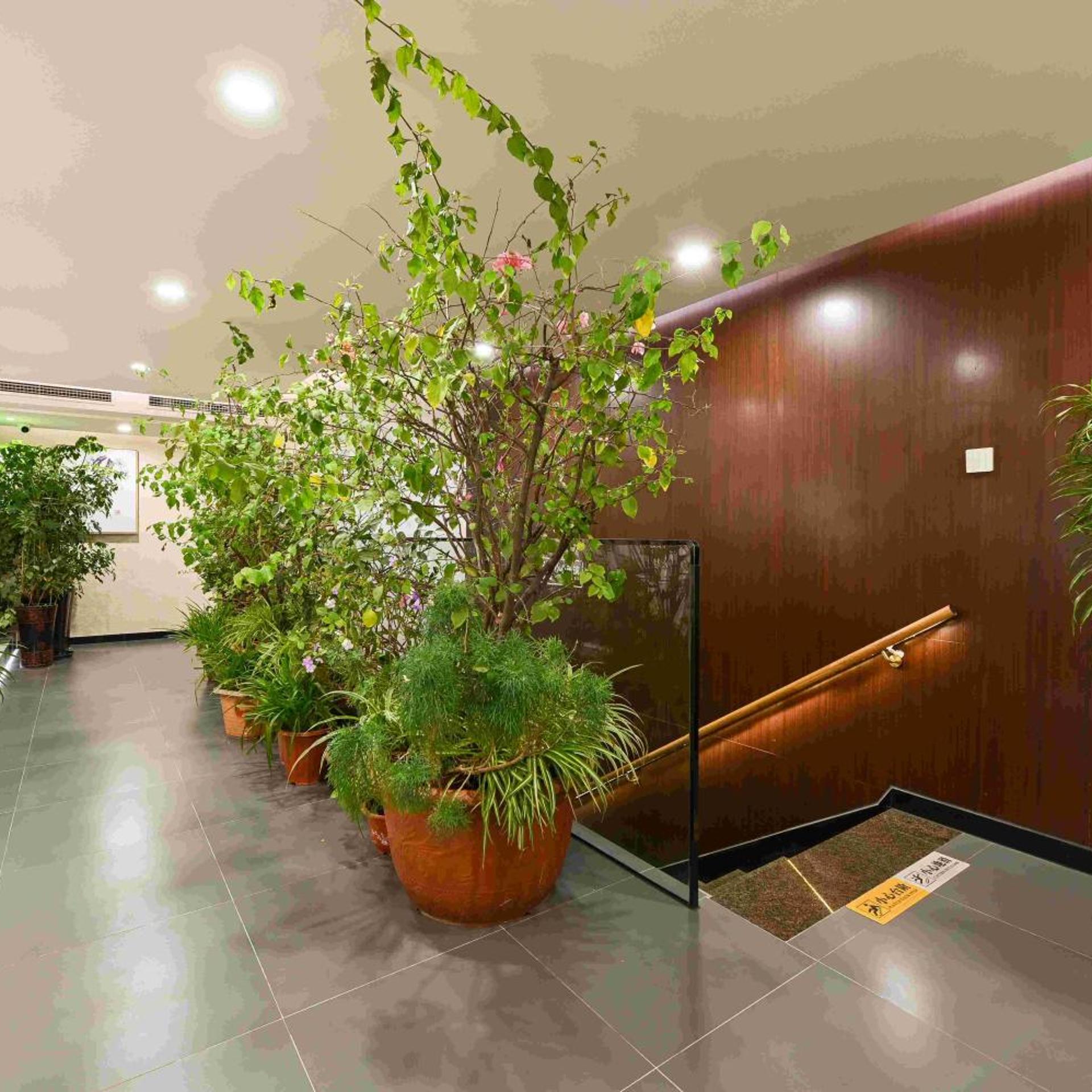 Xiao Yuan Alley Courtyard Hotel 48/51
