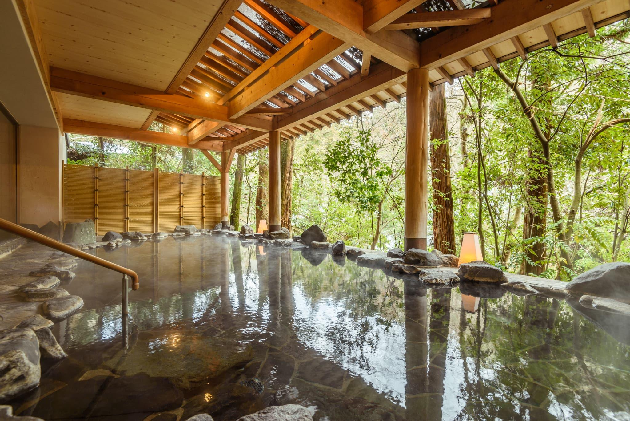 JAPANESE, STANDARD, MOUNTAIN VIEW