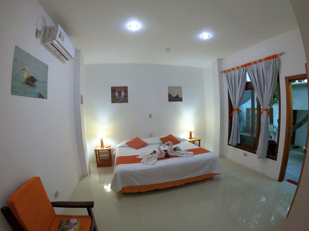 Gran Hostal Tintorera 8/34