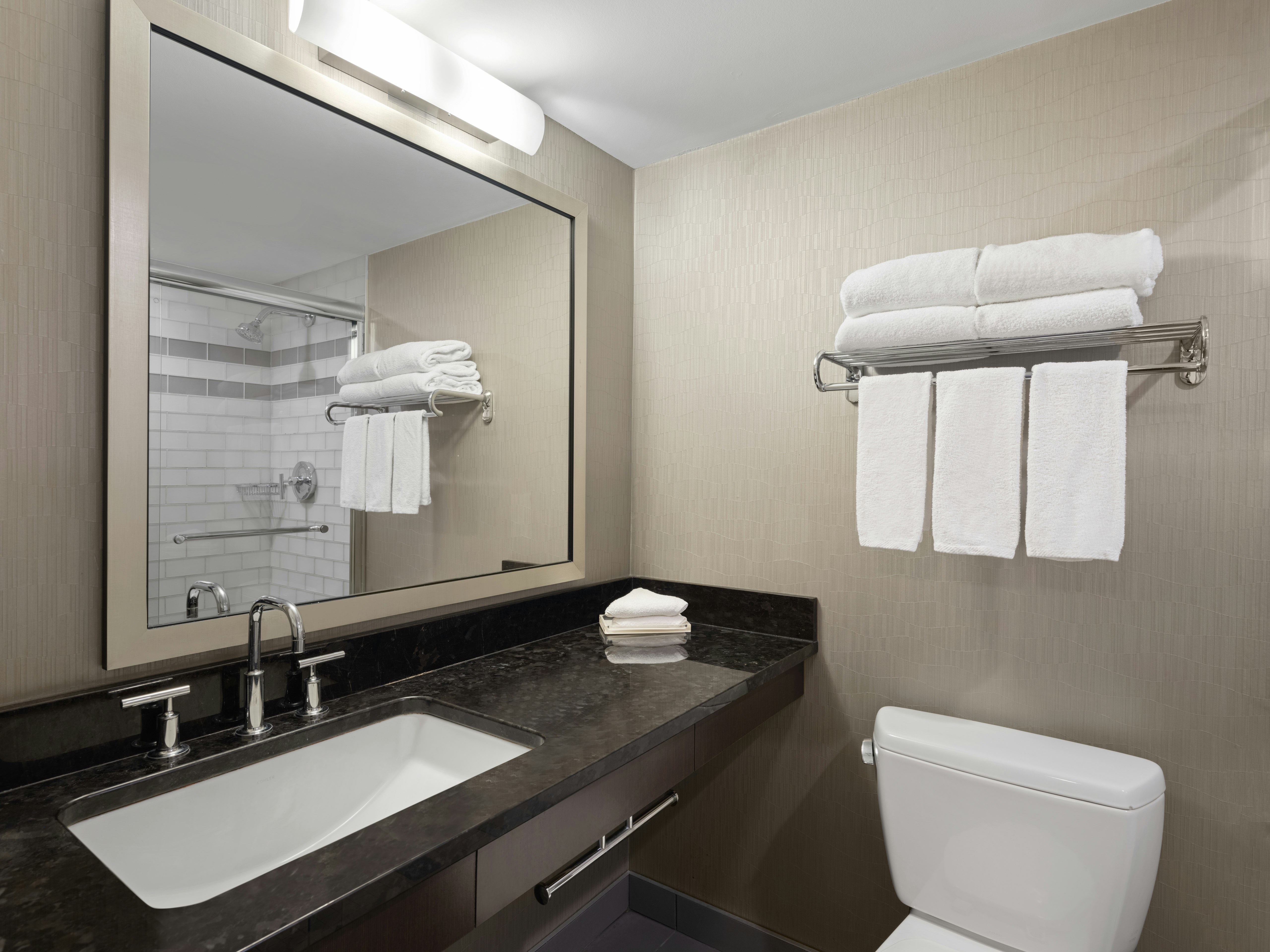Holiday Inn Calgary- Airport 63/65