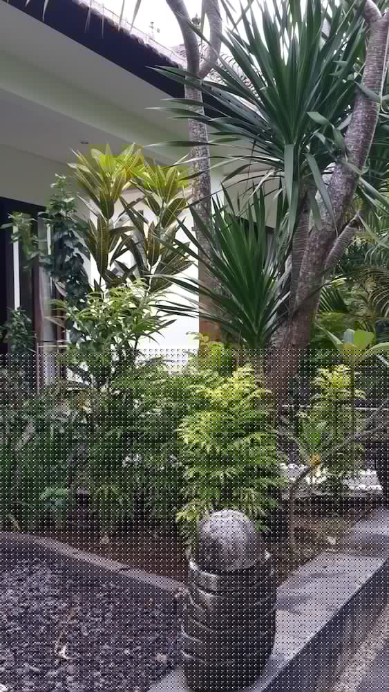Medori Putih Homestay 31/71