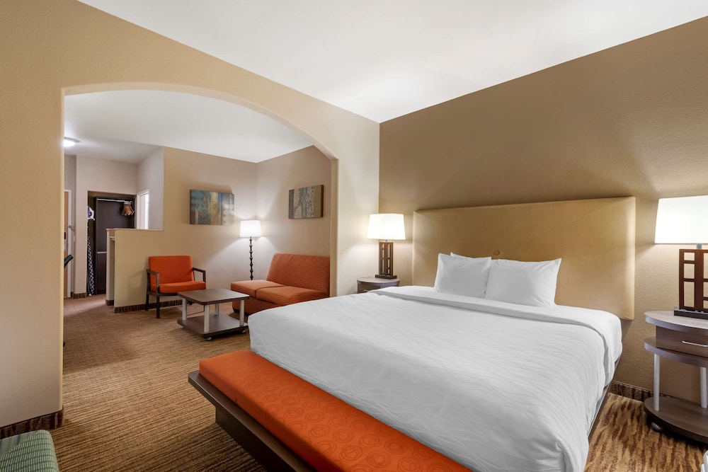 Best Western Plus DFW Airport Suites 10/43