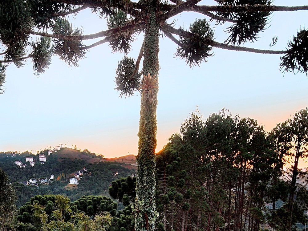 Recanto das Araucarias 58/65