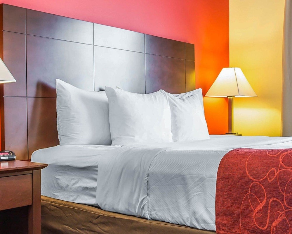 Comfort Suites Rock Hill Manchester Meadows Area 9/25