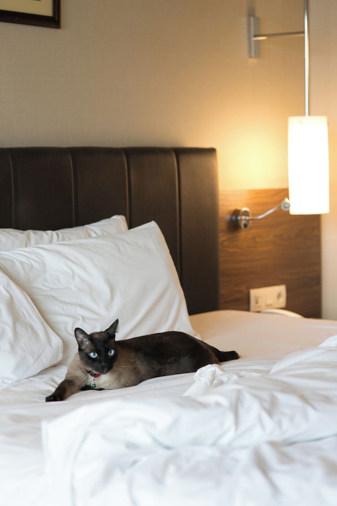 Kolin Hotel Spa & Convention Center 24/63
